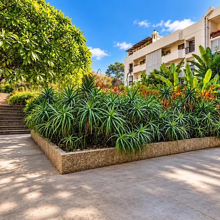 Apartament Socialodge - Piornais Funchal (Madeira)